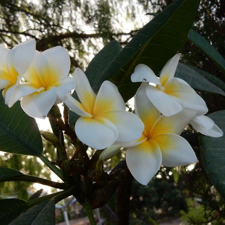 סן מיגל דה אבונה Finca Florida מראה חיצוני תמונה