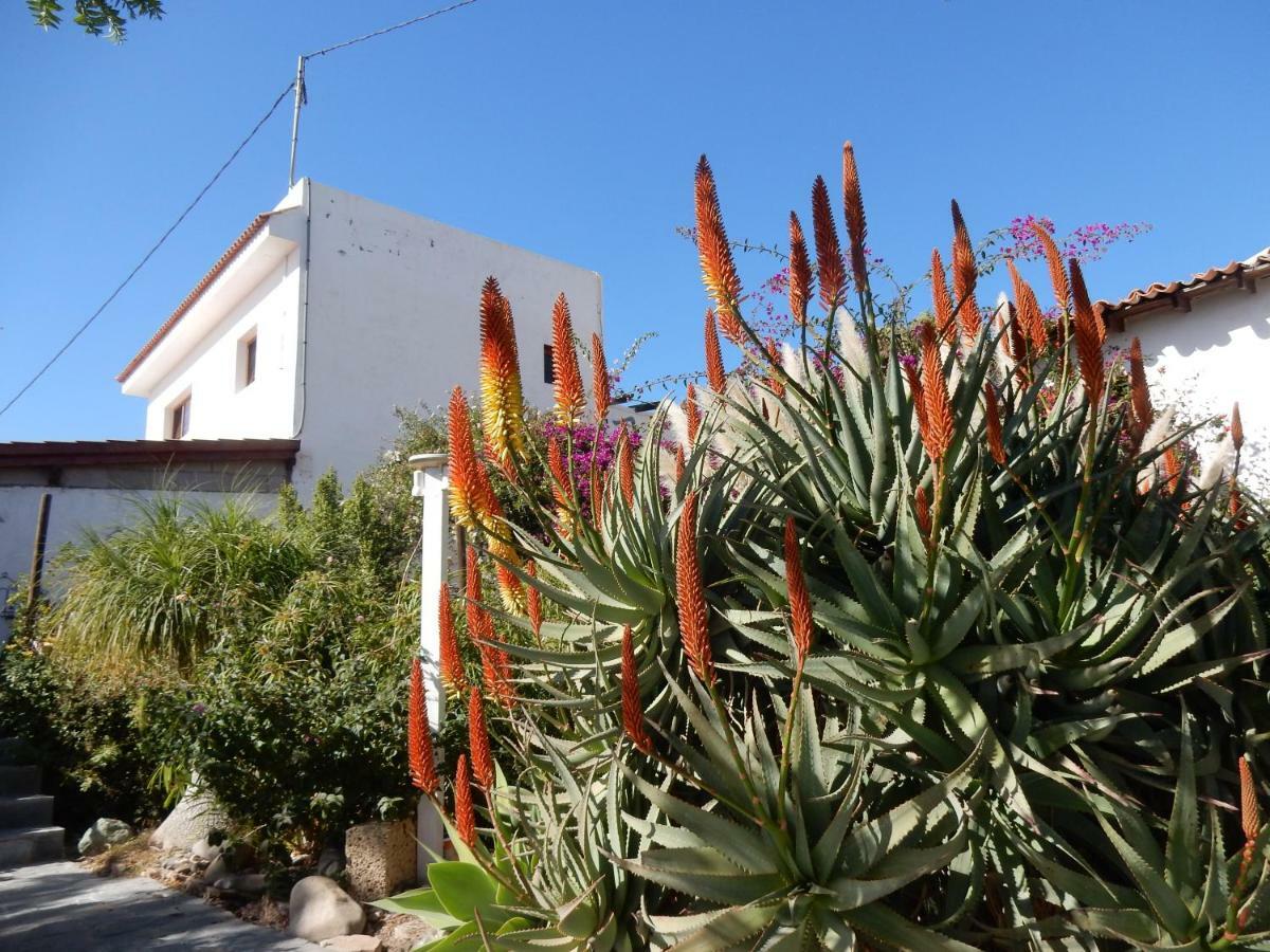 סן מיגל דה אבונה Finca Florida מראה חיצוני תמונה