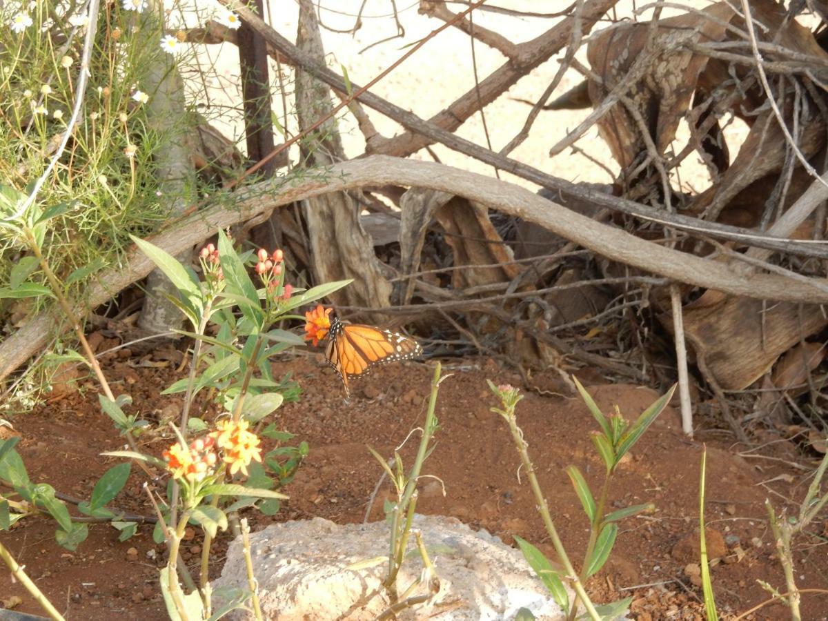 סן מיגל דה אבונה Finca Florida מראה חיצוני תמונה