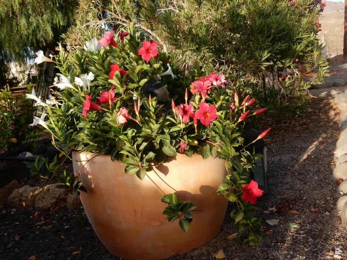 סן מיגל דה אבונה Finca Florida מראה חיצוני תמונה