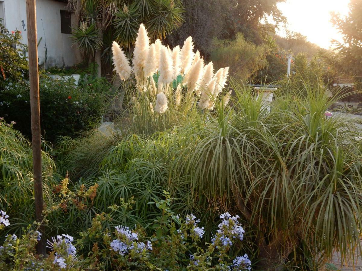 סן מיגל דה אבונה Finca Florida מראה חיצוני תמונה