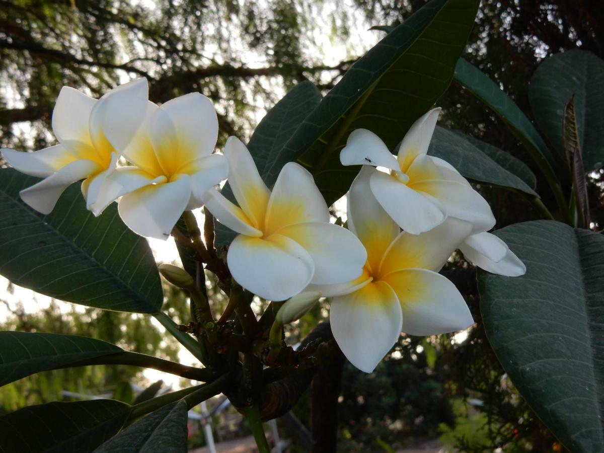 סן מיגל דה אבונה Finca Florida מראה חיצוני תמונה