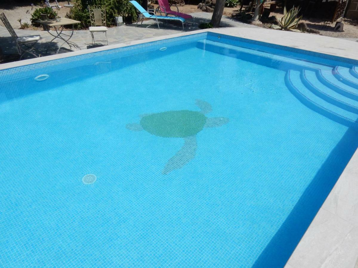 סן מיגל דה אבונה Finca Florida מראה חיצוני תמונה