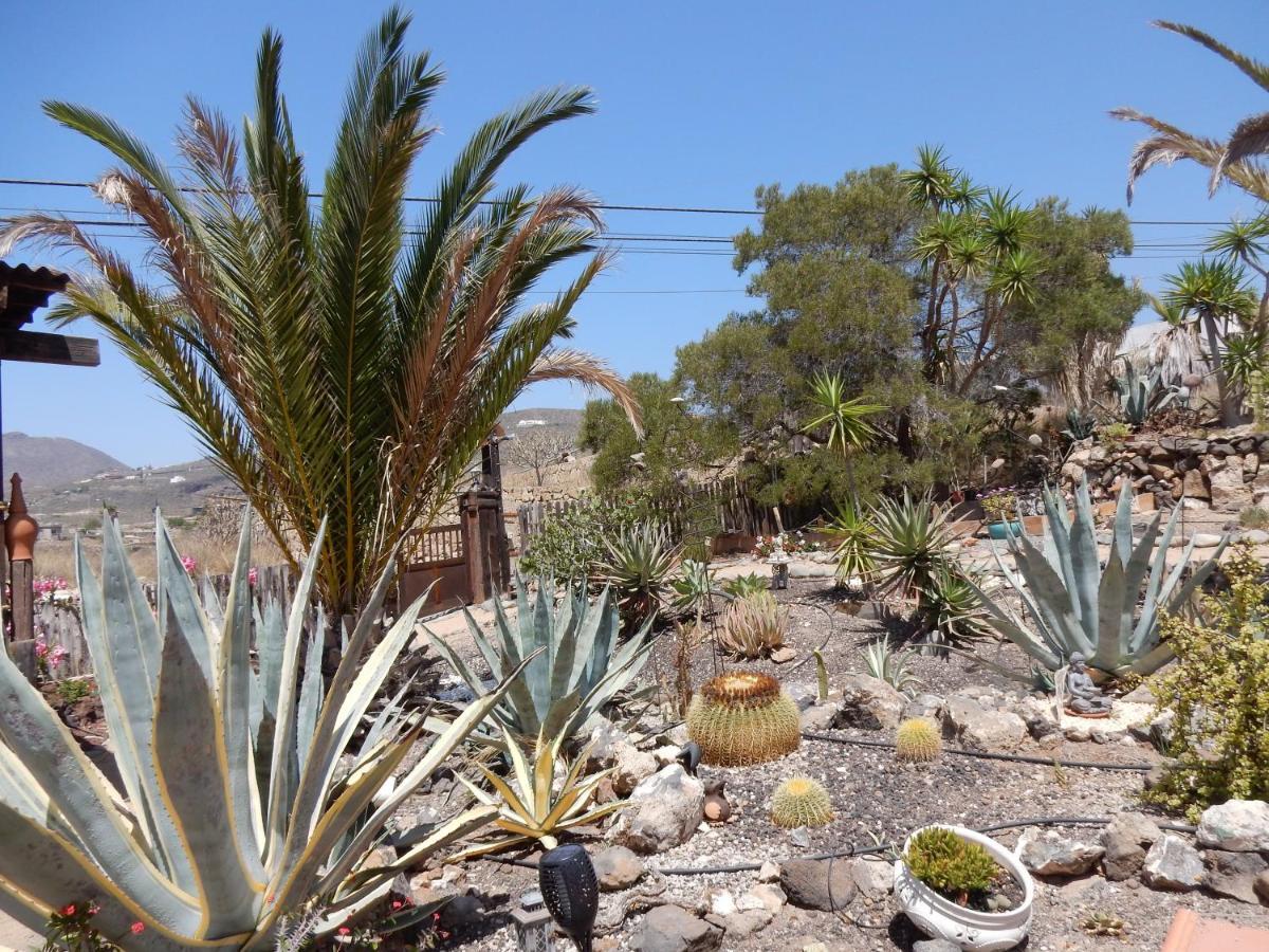 סן מיגל דה אבונה Finca Florida מראה חיצוני תמונה